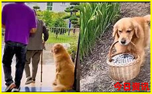 优质内容管家婆优质内容100独家期期中体验更佳管家-澳门管家婆100%精准
